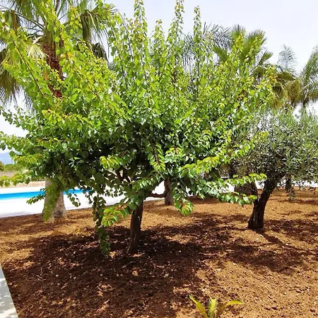 Paradiso Villa *